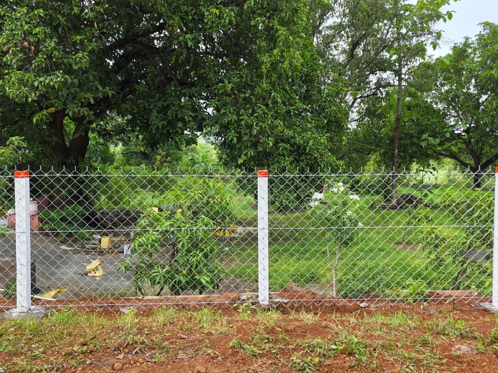 Galvanized Chain-Link Fencing
