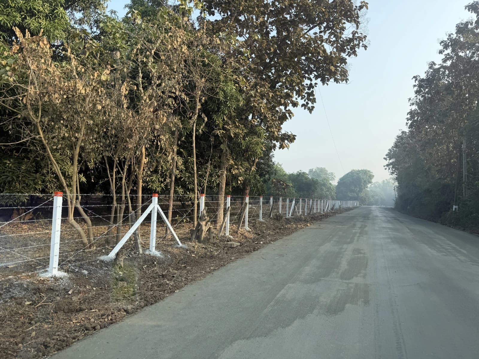 Barbed Wire Fencing